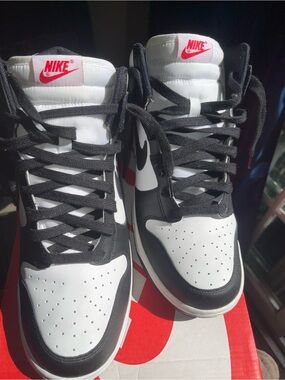 Nike Dunk High